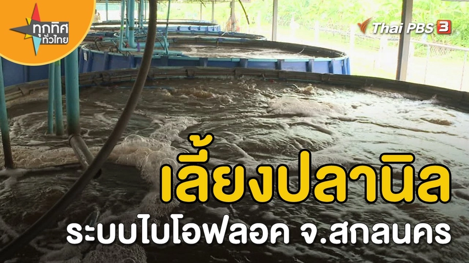 ​อาชีพทั่วไทย : เลี้ยงปลานิลระบบไบโอฟลอค จ.สกลนคร