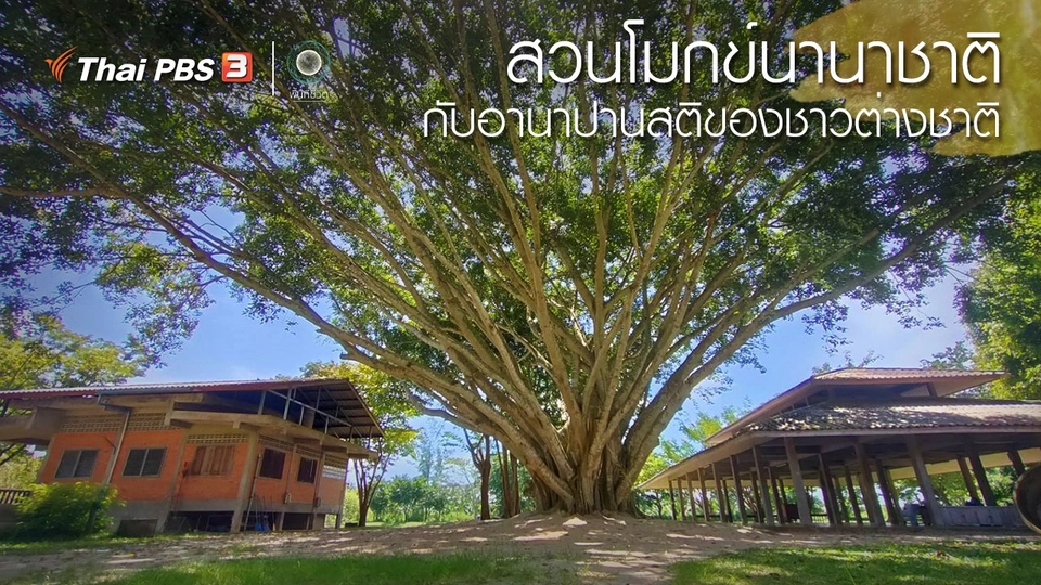 เปิดโลกเปิดความคิด : สวนโมกข์นานาชาติ กับอานาปานสติของชาวต่างชาติ