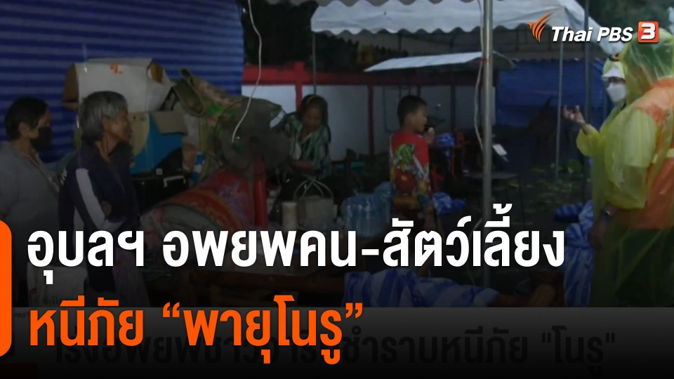 อุบลฯ อพยพคน-สัตว์เลี้ยง หนีภัย "พายุโนรู"