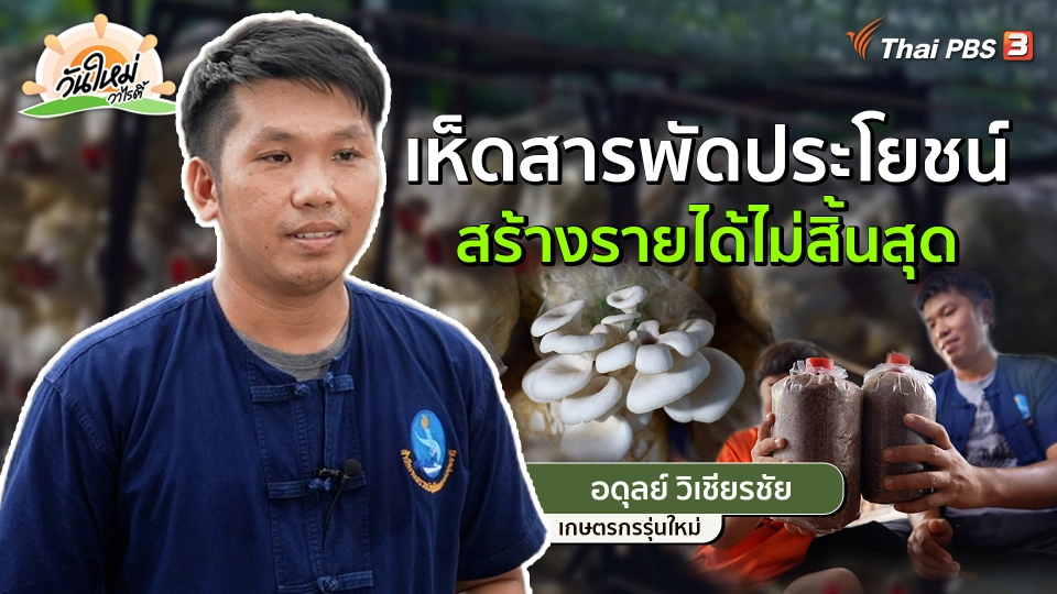 ​พอดีพอเพียง : เห็ดสารพัดประโยชน์ สร้างรายได้ไม่สิ้นสุด