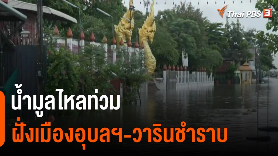 น้ำมูลไหลท่วมฝั่งเมืองอุบลฯ-วารินชำราบ