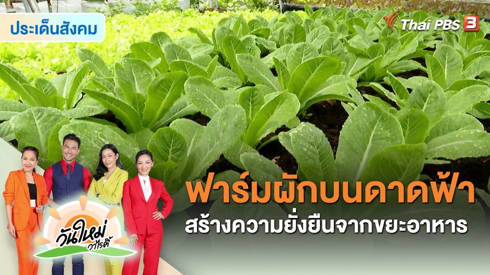 ​ประเด็นสังคม : ฟาร์มผักบนดาดฟ้า สร้างความยั่งยืนจากขยะอาหาร