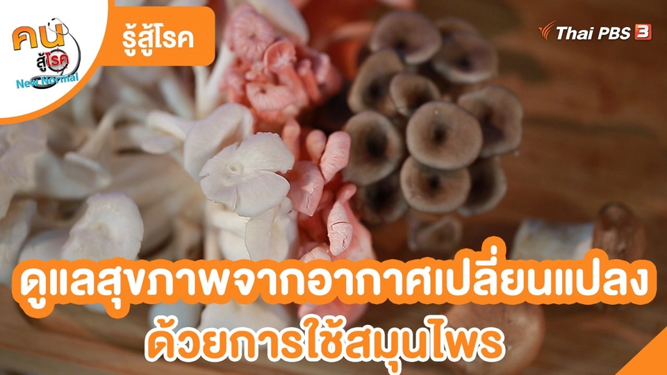 รู้สู้โรค : ดูแลสุขภาพจากอากาศเปลี่ยนแปลงด้วยการใช้สมุนไพร
