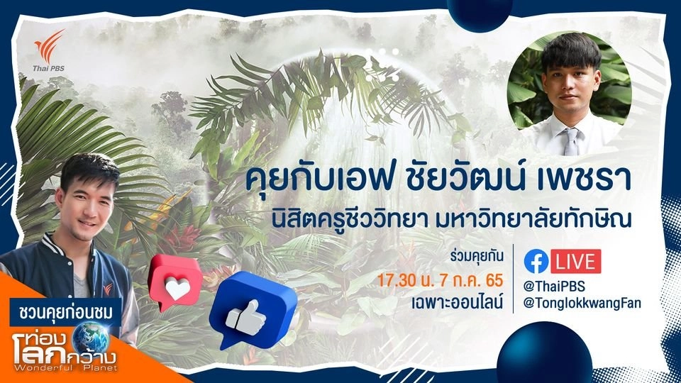 ชวนคุยกับ เอฟ ชัยวัฒน์ เพชรา เจ้าของเพจ Illchutn เลคเชอร์สุดปังจากโลกของพืช