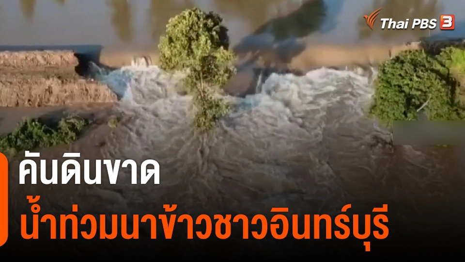 คันดินขาดน้ำท่วมนาข้าวชาวอินทร์บุรี จ.สิงห์บุรี
