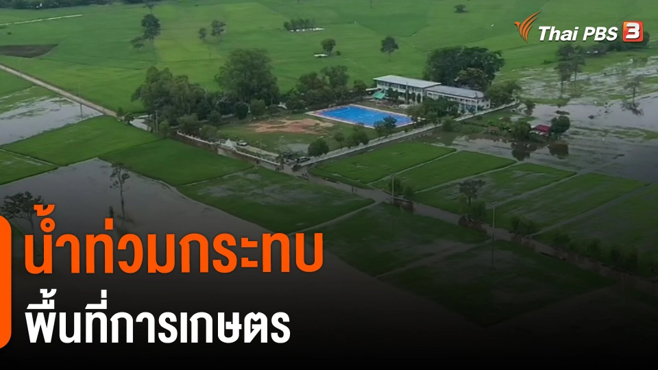 ​กินอยู่รู้รอบ : น้ำท่วมกระทบพื้นที่การเกษตร