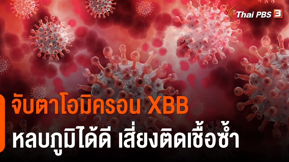 ​กรมวิทย์ฯ ยอมรับโควิดสายพันธุ์ XBB หลบภูมิได้ดี