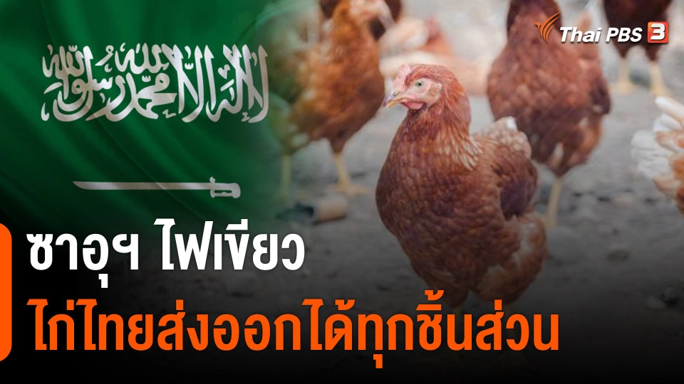 จับสัญญาณเศรษฐกิจ : ซาอุฯ ไฟเขียว ไก่ไทยส่งออกได้ทุกชิ้นส่วน