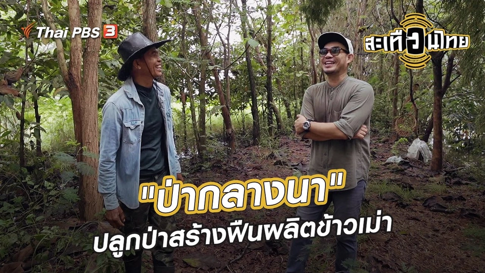 ​นักสร้างความเปลี่ยนแปลง : "ป่ากลางนา" ปลูกป่าสร้างฟืนผลิตข้าวเม่า