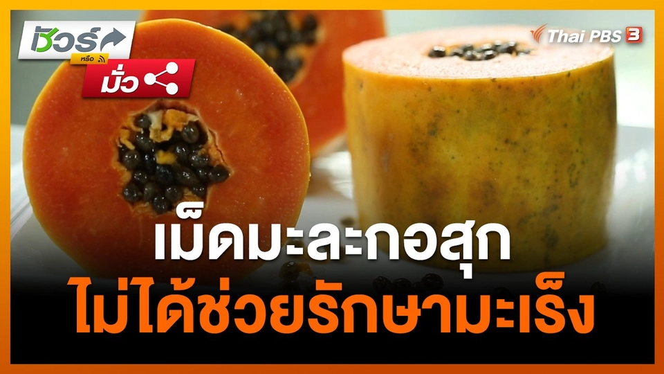 ​ชัวร์หรือมั่ว : สธ.ชี้ เม็ดมะละกอสุก ไม่ได้ช่วยรักษามะเร็ง