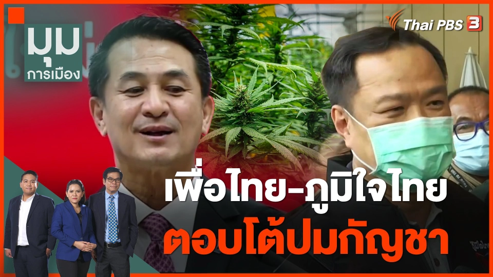 "เพื่อไทย-ภูมิใจไทย" ตอบโต้ปมกัญชา