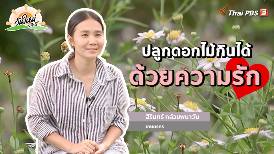 ​พอดีพอเพียง : ปลูกดอกไม้กินได้ ด้วยความรัก