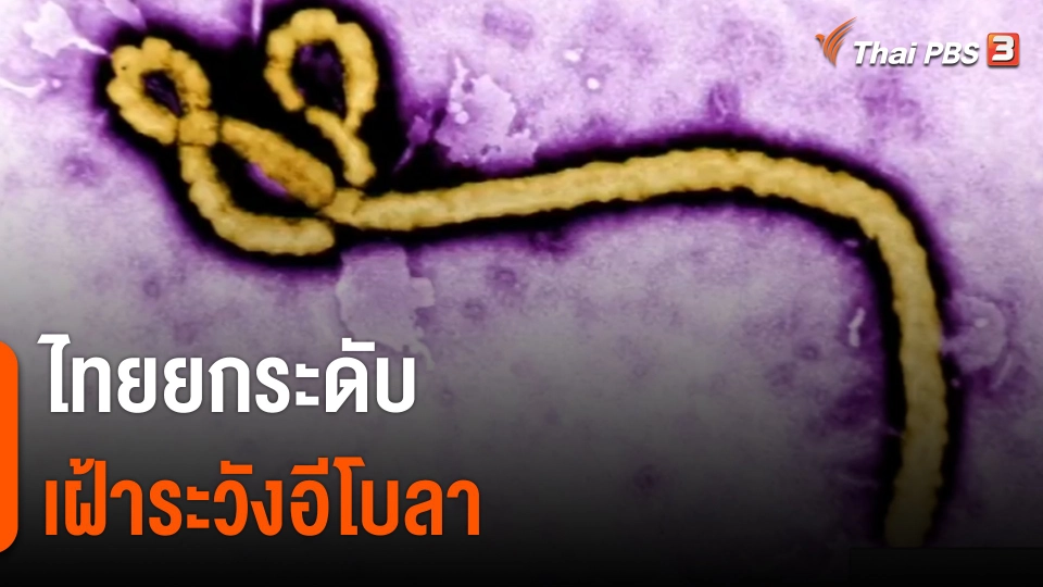 ​ไทยยกระดับเฝ้าระวังอีโบลา
