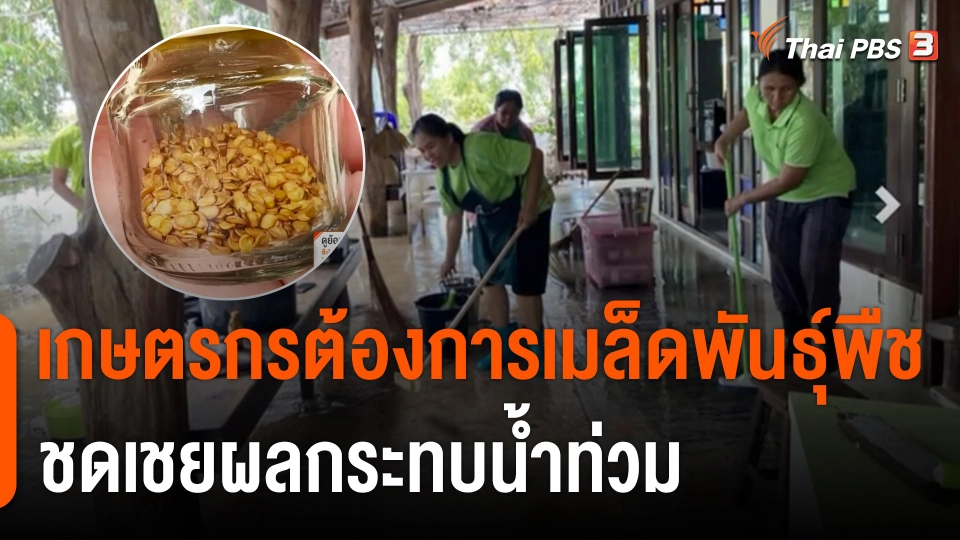 C-Site Focus : เกษตรกรต้องการเมล็ดพันธุ์พืช ชดเชยผลกระทบน้ำท่วม
