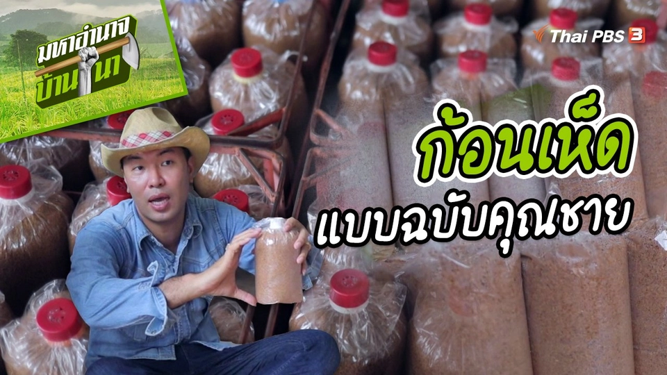​สูตรลับฉบับบ้านนา : ก้อนเห็ดแบบฉบับคุณชาย