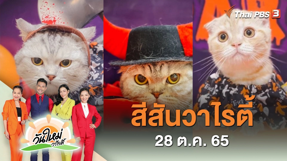 สีสันวาไรตี้ (28 ต.ค. 65)