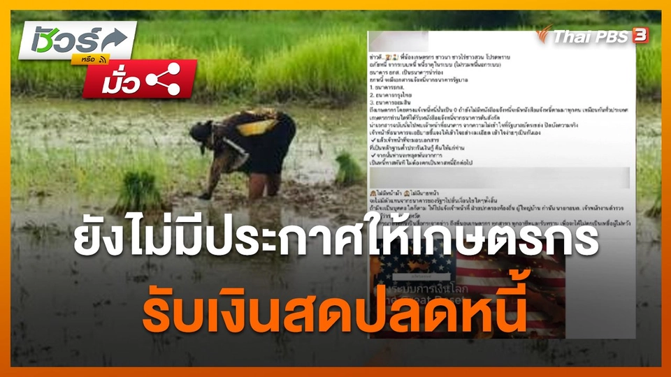 ชัวร์หรือมั่ว : กระทรวงเกษตรฯ ชี้แจง ยังไม่มีประกาศให้เกษตรกรรับเงินสดปลดหนี้