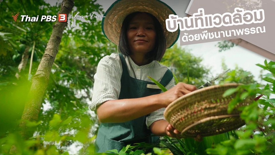 เรื่องเล่าคนกลับบ้าน : บ้านที่แวดล้อมด้วยพืชนานาพรรณ