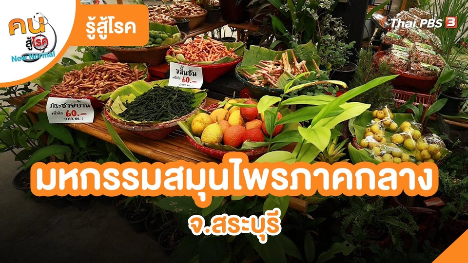 รู้สู้โรค : มหกรรมสมุนไพรภาคกลาง จ.สระบุรี