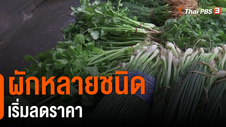 ​กินอยู่รู้รอบ : ผักหลายชนิดเริ่มลดราคา