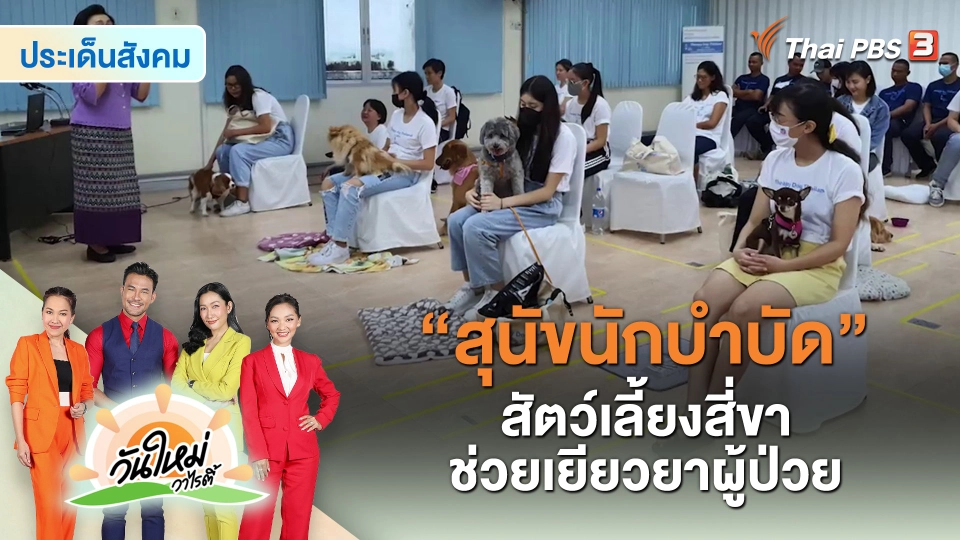 ​ประเด็นสังคม : “สุนัขนักบำบัด” สัตว์เลี้ยงสี่ขาช่วยเยียวยาผู้ป่วย