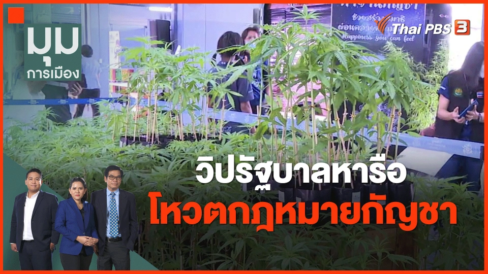 ​วิปรัฐบาลหารือโหวตกฎหมายกัญชา