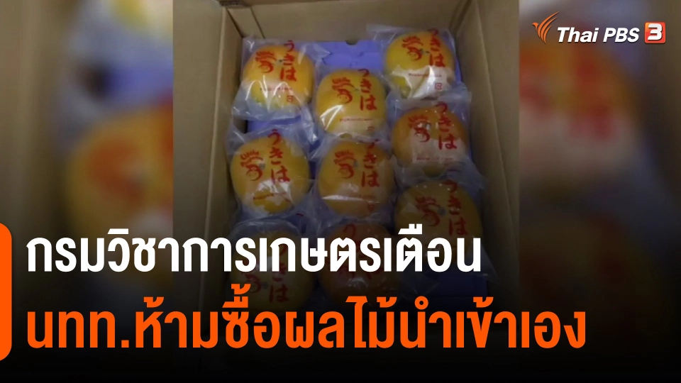​กินอยู่รู้รอบ : เกษตรกรร้องสกัดพริกนำเข้าจากเมียนมาทำราคาผลผลิตตกต่ำ