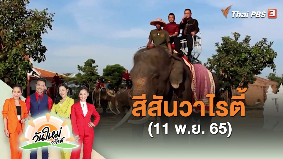 ​สีสันวาไรตี้ (11 พ.ย. 65)