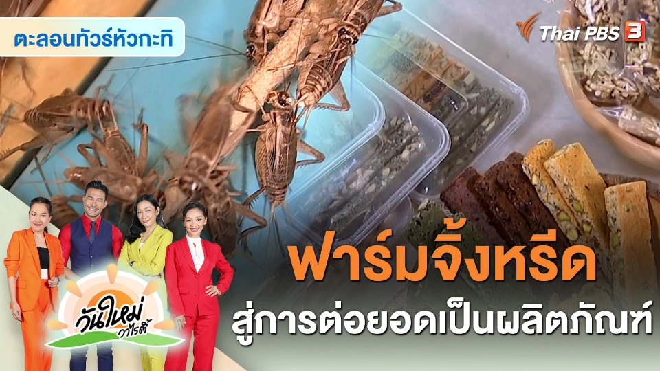 ตะลอนทัวร์หัวกะทิ : ฟาร์มจิ้งหรีด สู่การพัฒนาต่อยอดเป็นผลิตภัณฑ์