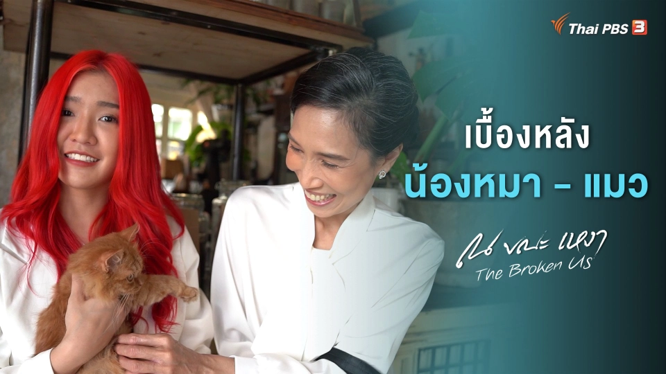 [BEHIND THE SCENE] เบื้องหลังการถ่ายน้องหมา - แมว