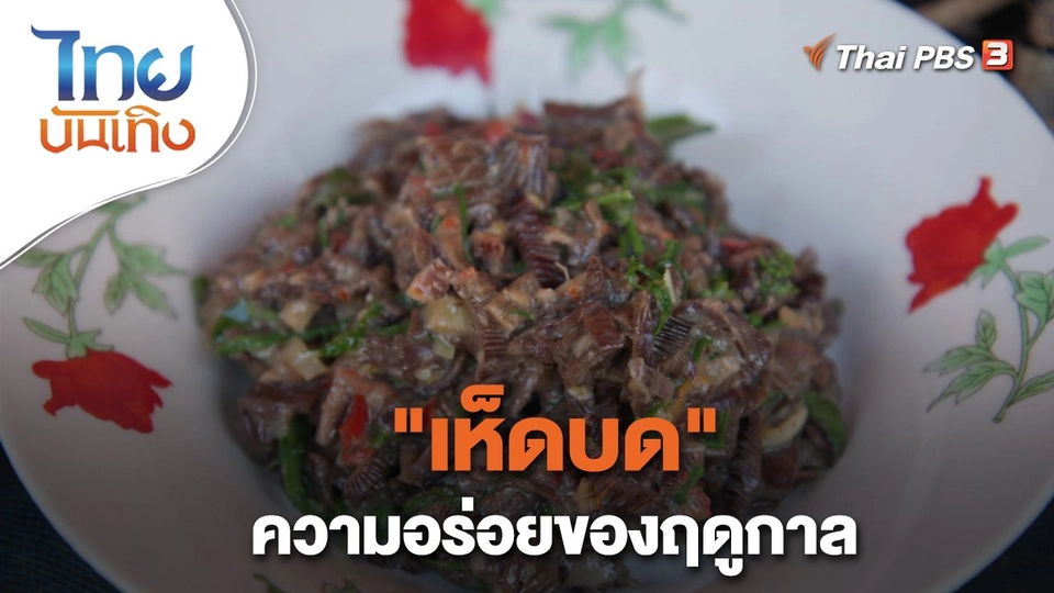​อิ่มมนต์รส : "เห็ดบด" ความอร่อยของฤดูกาล