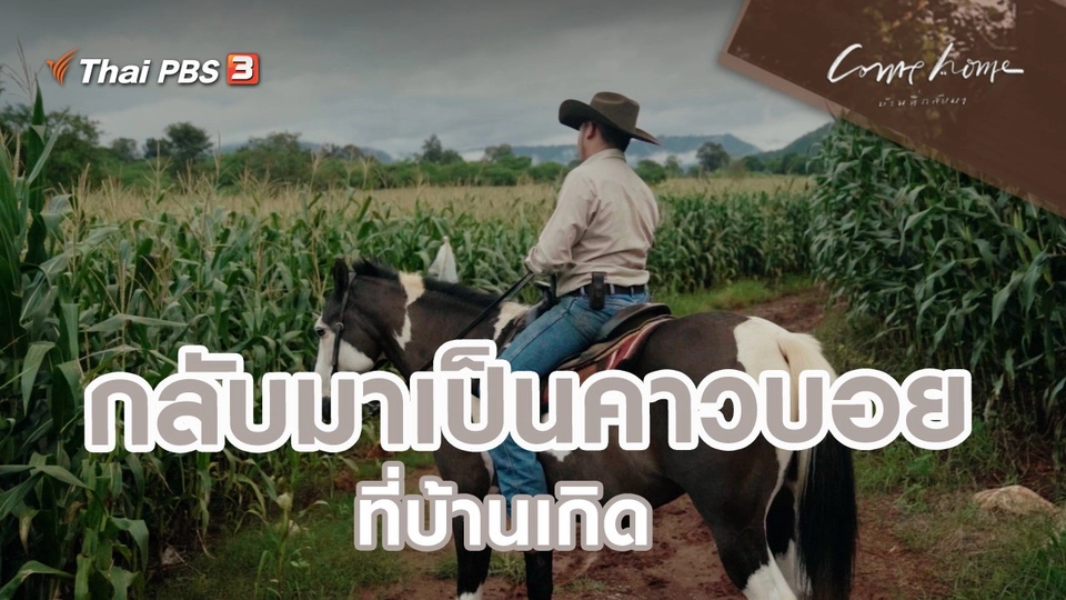 เรื่องเล่าคนกลับบ้าน : กลับมาเป็นคาวบอยที่บ้านเกิด