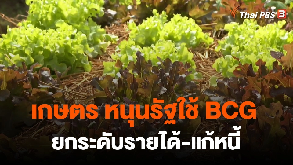 ​กินอยู่รู้รอบ : เกษตร หนุนรัฐใช้ BCG  ยกระดับรายได้-แก้หนี้