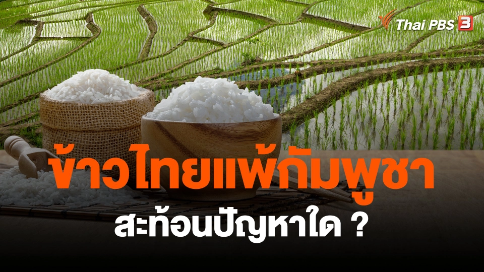​ข้าวไทยแพ้กัมพูชา สะท้อนปัญหาใด?