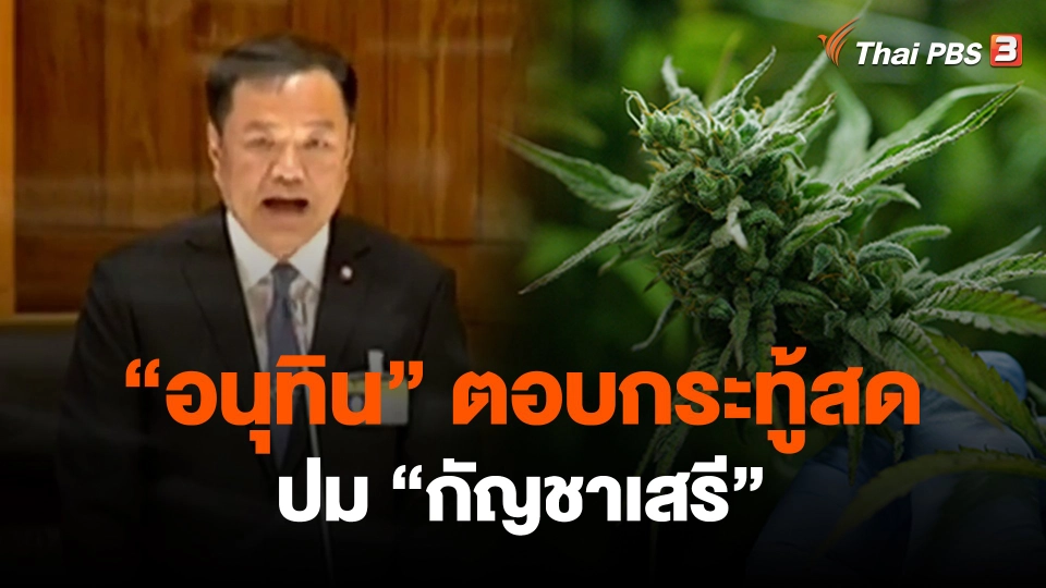 ​"อนุทิน" ตอบกระทู้สดปม "กัญชาเสรี"