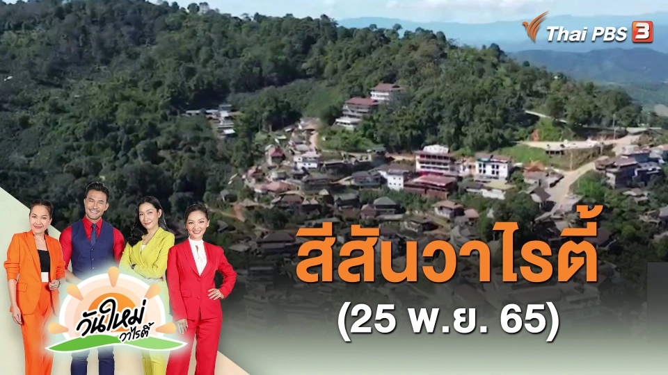 ​สีสันวาไรตี้ (25 พ.ย. 65)