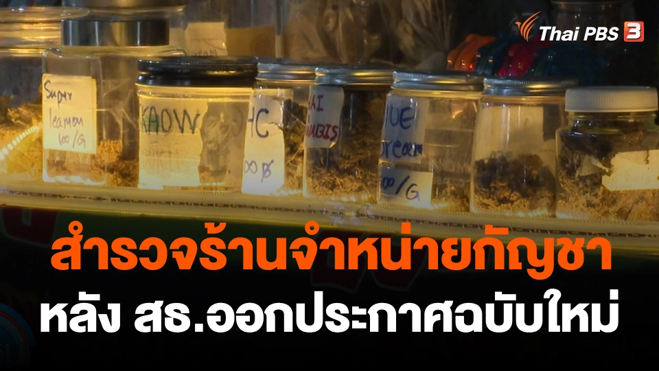 สำรวจร้านจำหน่ายกัญชาถนนข้าวสาร หลัง สธ.ออกประกาศฉบับใหม่