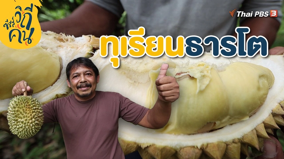 ​ทุเรียนธารโต