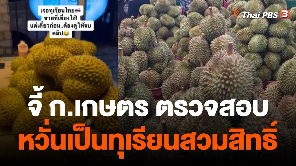 กินอยู่รู้รอบ : จี้ตรวจสอบคลิปทุเรียนในจีน หวั่นทำลายภาพลักษณ์