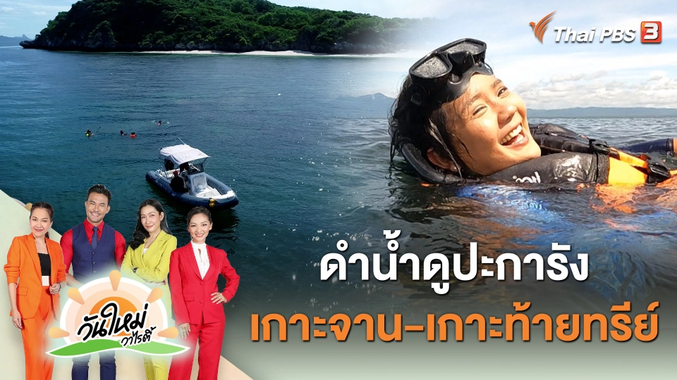 ดำน้ำดูปะการัง "เกาะจาน - เกาะท้ายทรีย์"