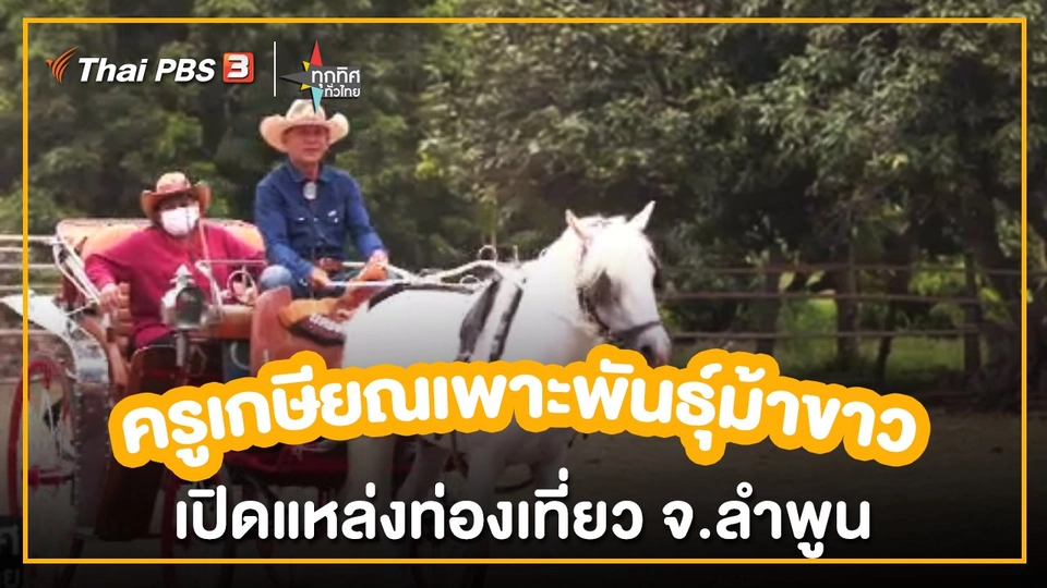 ​อาชีพทั่วไทย :ครูเกษียณเพาะพันธุ์ม้าขาวเปิดแหล่งท่องเที่ยว จ.ลำพูน