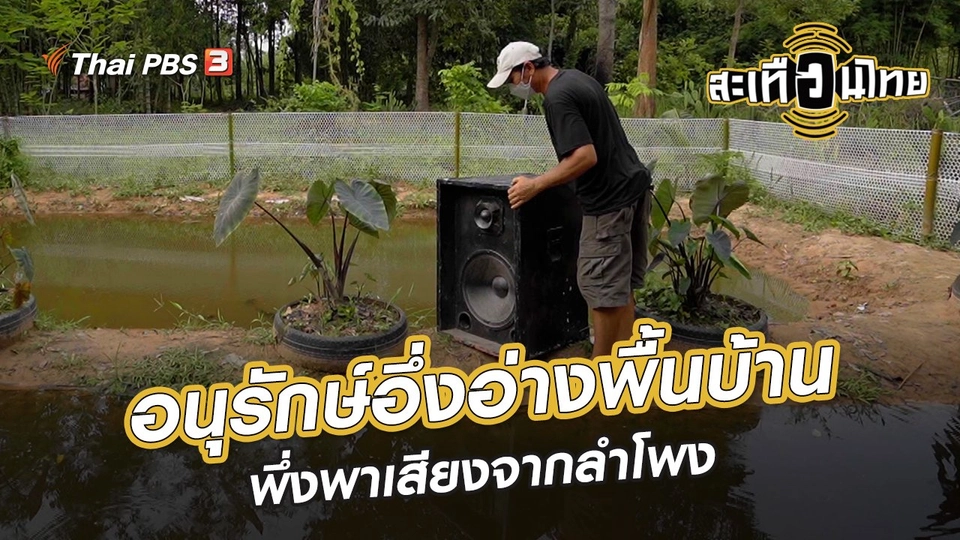 ​นักสร้างความเปลี่ยนแปลง : อนุรักษ์อึ่งอ่างพื้นบ้าน พึ่งพาเสียงจากลำโพง