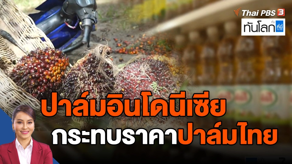 ASEAN Connect : ปาล์มอินโดนีเซียกระทบราคาปาล์มไทย