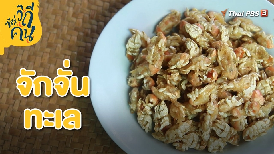 จักจั่นทะเล