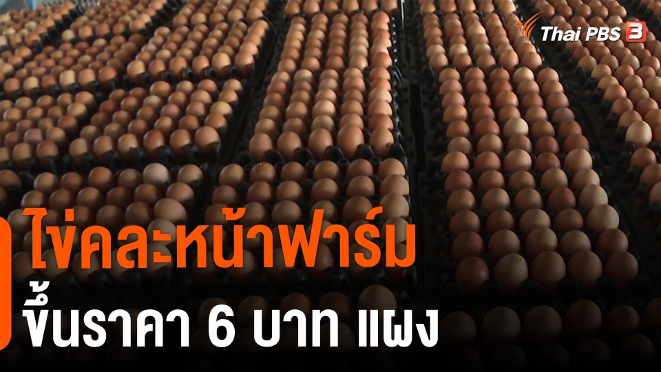 ​จับสัญญาณเศรษฐกิจ : ไข่คละหน้าฟาร์ม ขึ้นราคา 6 บาท / แผง
