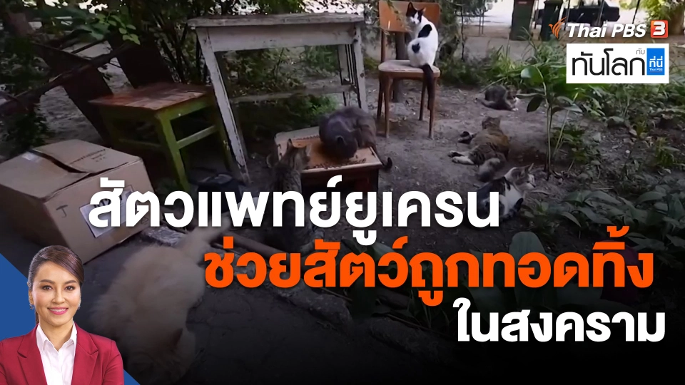 สัตวแพทย์ยูเครนช่วยสัตว์ถูกทอดทิ้งในสงคราม