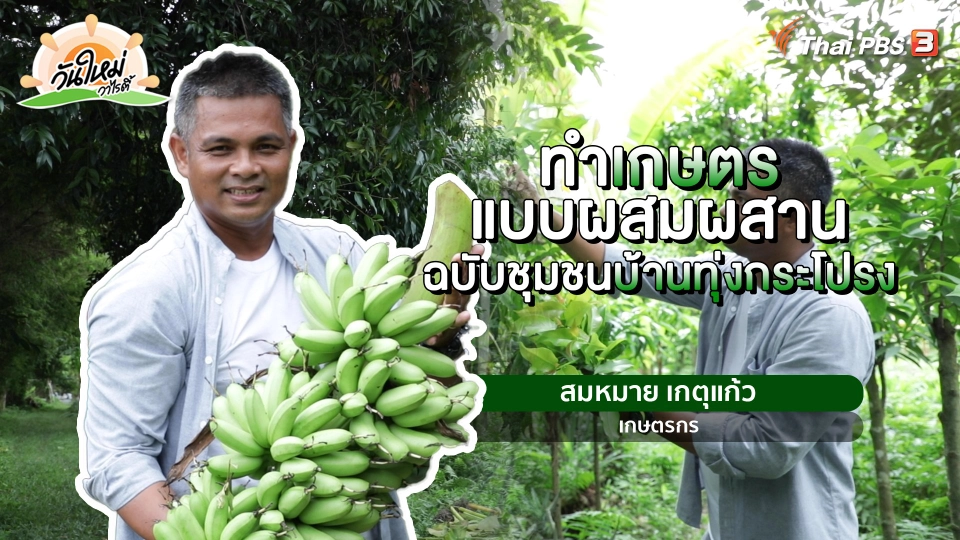 ​พอดีพอเพียง : ทำเกษตรแบบผสมผสาน ฉบับชุมชนบ้านทุ่งกระโปรง