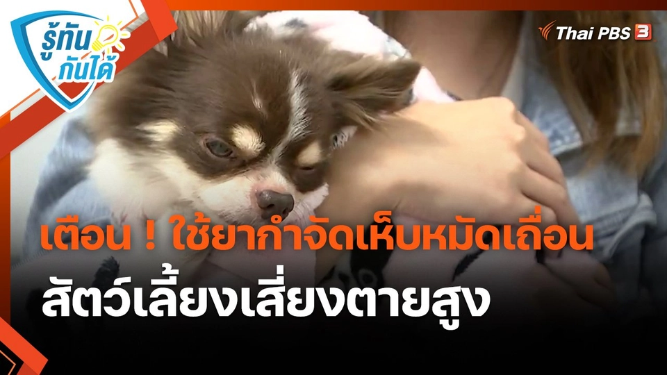 ​รู้ทันกันได้ : เตือน ! ใช้ยากำจัดเห็บหมัดเถื่อน สัตว์เลี้ยงเสี่ยงตายสูง