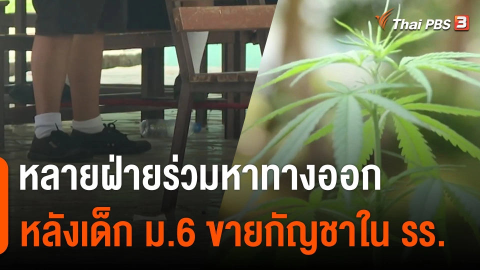 หลายฝ่ายร่วมหาทางออก หลังเด็ก ม.6 ขายกัญชาในโรงเรียน จ.ลำปาง