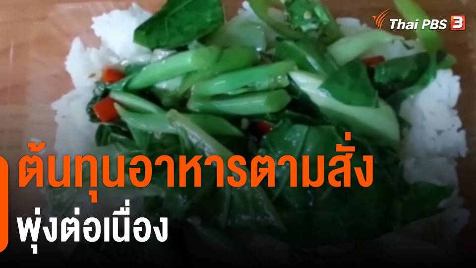 ​กินอยู่รู้รอบ : ต้นทุนอาหารตามสั่งพุ่งต่อเนื่อง